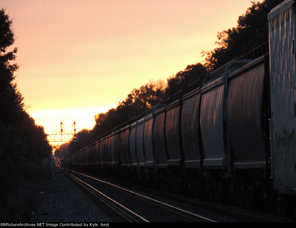 more grain cars 